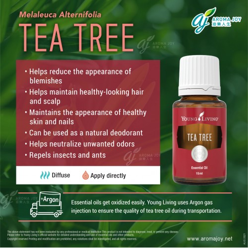 Tea Tree 茶樹